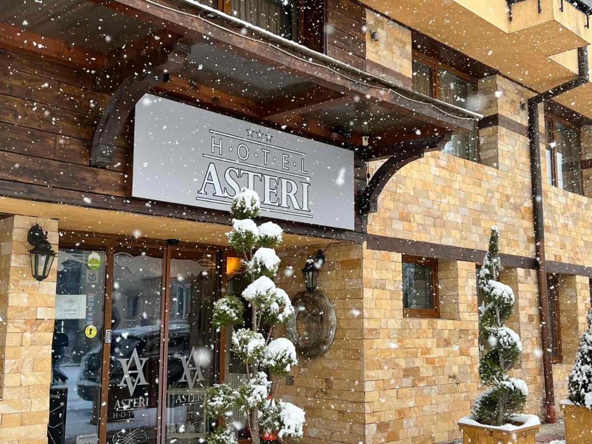 Hotel Asteri Bansko - Organic Food From Small Local Farms By Asteri Hotels Exterior foto